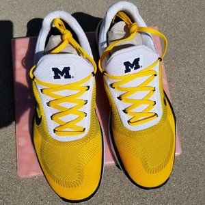 Nike Michigan Athletic Shoes